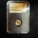 2026 Niue G$1 Tyrannosaurus T Rex 1g Gram 22k Gold Coin Ngc Reverse Pf70 Bert