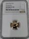 2026 Niue Pteranodon $1 Gold Coin Ngc Reverse Pf 70 Perfect Dinosaur 1g 22k