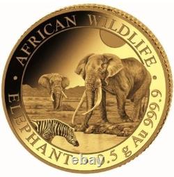 2026 Somalia Elephant Gold Coin in capsule Half Gram. 5