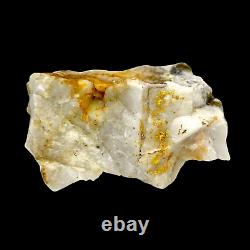 213 GRAMS / 7.5oz Australian Gold Bearing Quartz Specimen RARE