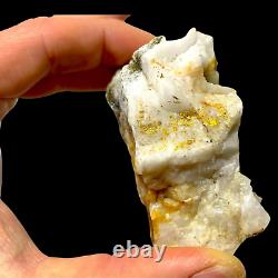 213 GRAMS / 7.5oz Australian Gold Bearing Quartz Specimen RARE