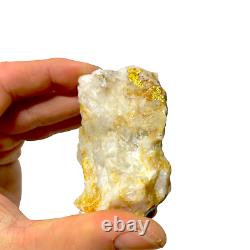 213 GRAMS / 7.5oz Australian Gold Bearing Quartz Specimen RARE