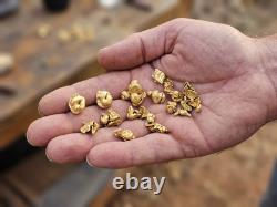 247 Gram Scrap Gold Nuggets For Gold Recovery Refining Melted Computer Pins Coin