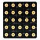 25 Gram (25 X 1 G) 2021 Maplegram Sheet Of Gold Coins