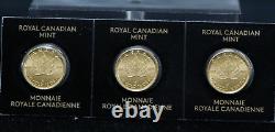 (3) Maple Leaf 1 gram. 9999 Gold Coins, Royal Canadian Mint, 50C, Consecutive #s