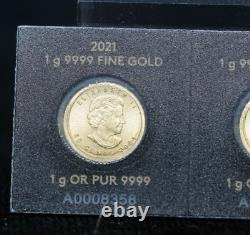 (3) Maple Leaf 1 gram. 9999 Gold Coins, Royal Canadian Mint, 50C, Consecutive #s