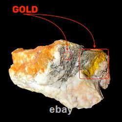 481 GRAMS / 16.97oz RARE Australian Gold Bearing Quartz Specimen Victoria