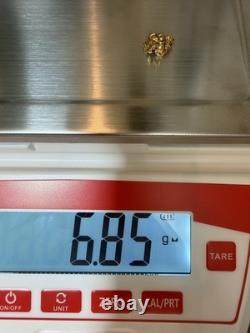 6.85 Gram California Gold Nugget Sierra Nevada
