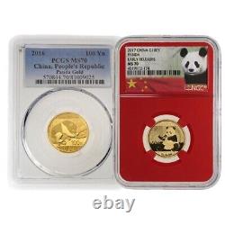 8 Gram Chinese Gold Panda Coin MS70 (Random Year, Varied Label, PCGS or NGC)