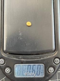 Ancient Java Gold 1 Kupang Coin (800-1300 AD) Early Nusantara Money 0,60 grm