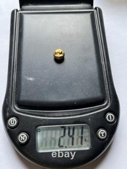 Ancient Javanese Gold Coin 1 Ma? A 2.4g Javanese Majapahit Era Currency