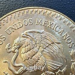 BU UNC MS 1981 Mexico Mo Libertad Onza 1/2 Oz. 999 Gold Oro Puro Coin