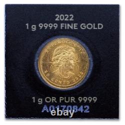 Canada 2022 1 Gram Gold Maple Leaf Coin Brilliant Uncirculated 24KT 1g. 9999