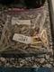 Gold Fingers 1.9 Pounds (855 Grams) $525.00