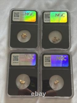 Gold Nugget VaultBox Vault Box NGC LOT (4 Slabs & 7.5 Grams Total)