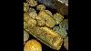 Golden Fleece 1550 Shipwreck Gold Bar Clip 14 Grams Pirate Gold Coins Jr Bissell