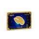 Harry Potter The Golden Snitch 0.1 Gram 999 Gold Coin Sold Out! Only 2000 Made