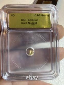 ICG Graded Certified Genuine Natural Gold Nugget 0.63 Grams Slabbed