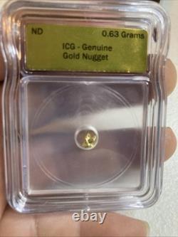 ICG Graded Certified Genuine Natural Gold Nugget 0.63 Grams Slabbed