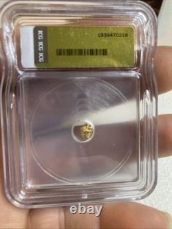 ICG Graded Certified Genuine Natural Gold Nugget 0.63 Grams Slabbed