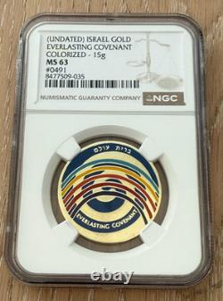Israel 1991 Gold 15 Gram Medal NGC MS63 Everlasting Covenant Colorized