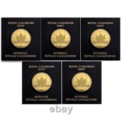 Lot of 5 2023 1 Gram Gold Maple Leaf Coin In Maplegram Assay Card In Stock