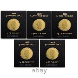 Lot of 5 2023 1 Gram Gold Maple Leaf Coin In Maplegram Assay Card In Stock