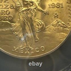 MS 66 1981 Mo Mexico 1/2 Oz Onza Gold Libertad NEAR SUPERB GEM BU MS UNC