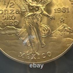 MS 66 1981 Mo Mexico 1/2 Oz Onza Gold Libertad NEAR SUPERB GEM BU MS UNC