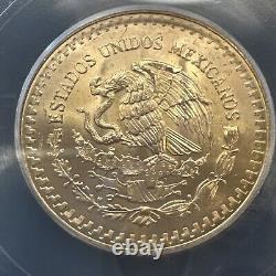 MS 66 1981 Mo Mexico 1/2 Oz Onza Gold Libertad NEAR SUPERB GEM BU MS UNC