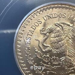 MS 66 1981 Mo Mexico 1/2 Oz Onza Gold Libertad NEAR SUPERB GEM BU MS UNC