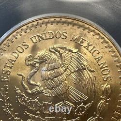 MS 66 1981 Mo Mexico 1/2 Oz Onza Gold Libertad NEAR SUPERB GEM BU MS UNC