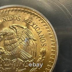 MS 66 1981 Mo Mexico 1/2 Oz Onza Gold Libertad NEAR SUPERB GEM BU MS UNC