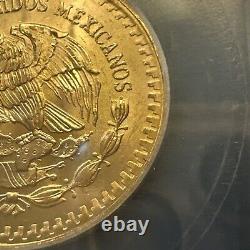 MS 66 1981 Mo Mexico 1/2 Oz Onza Gold Libertad NEAR SUPERB GEM BU MS UNC