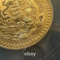 MS 66 1981 Mo Mexico 1/2 Oz Onza Gold Libertad NEAR SUPERB GEM BU MS UNC