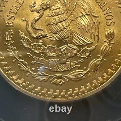 MS 66 1981 Mo Mexico 1/2 Oz Onza Gold Libertad NEAR SUPERB GEM BU MS UNC