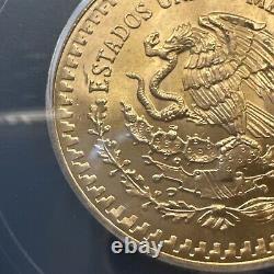 MS 66 1981 Mo Mexico 1/2 Oz Onza Gold Libertad NEAR SUPERB GEM BU MS UNC