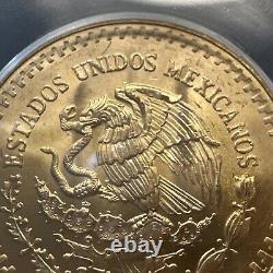 MS 66 1981 Mo Mexico 1/2 Oz Onza Gold Libertad NEAR SUPERB GEM BU MS UNC