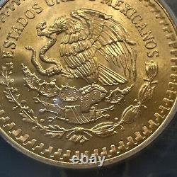 MS 66 1981 Mo Mexico 1/2 Oz Onza Gold Libertad NEAR SUPERB GEM BU MS UNC