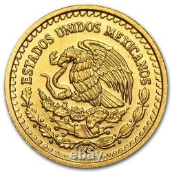 Mexico 1/10 oz Gold Onza &/or Libertad BU (Random Year)