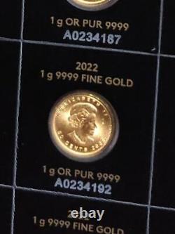 New! 5 x 2022 Canada'MapleGram' Fine Gold 50c Coin Lot in Certified Cards
