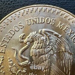 SUPERB GEM BU 1981 Mexico Mo Libertad Onza 1/2 Oz. 999 Gold Oro Puro Coin