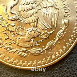 SUPERB GEM BU 1981 Mexico Mo Libertad Onza 1/2 Oz. 999 Gold Oro Puro Coin