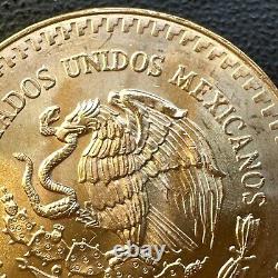 SUPERB GEM BU 1981 Mexico Mo Libertad Onza 1/2 Oz. 999 Gold Oro Puro Coin