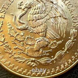 SUPERB GEM BU 1981 Mexico Mo Libertad Onza 1/2 Oz. 999 Gold Oro Puro Coin