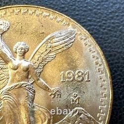 SUPERB GEM BU 1981 Mexico Mo Libertad Onza 1/2 Oz. 999 Gold Oro Puro Coin