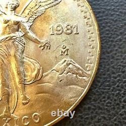 SUPERB GEM BU 1981 Mexico Mo Libertad Onza 1/2 Oz. 999 Gold Oro Puro Coin