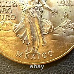 SUPERB GEM BU 1981 Mexico Mo Libertad Onza 1/2 Oz. 999 Gold Oro Puro Coin