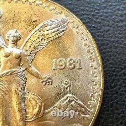 SUPERB GEM BU 1981 Mexico Mo Libertad Onza 1/2 Oz. 999 Gold Oro Puro Coin