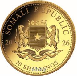 Somalia 2026 African Wildlife Elephant Au999.9 0.5g BU